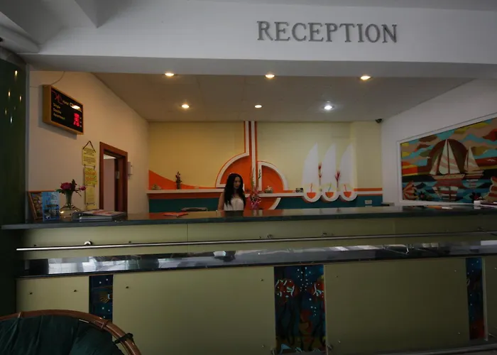 酒店 中央酒店 3*