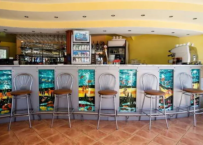 中央酒店 3* 马马亚